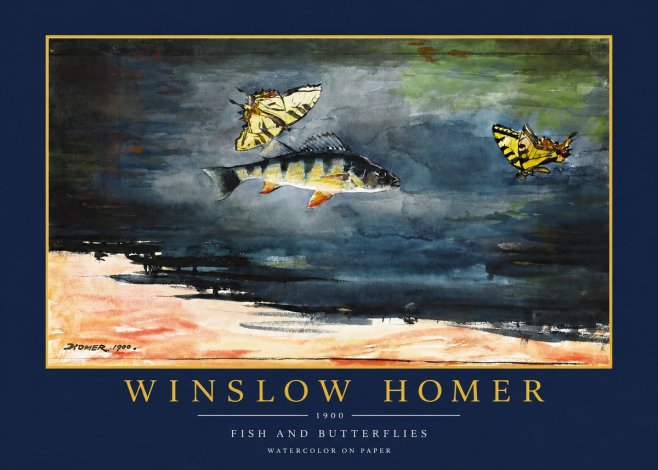 Winslow Homer Fish and Butterflies No2 - Plakát