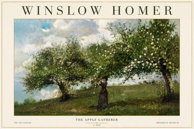 Winslow Homer The Apple Gatherer No5 - Plakát