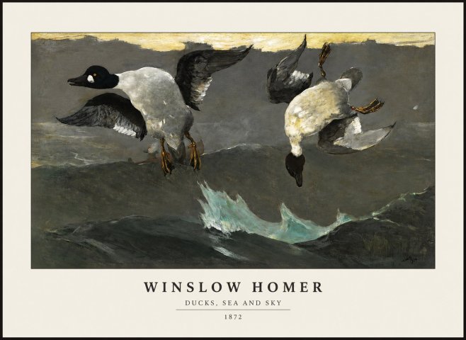 Winslow Homer Ducks, Sea and Sky No1 - Plakát