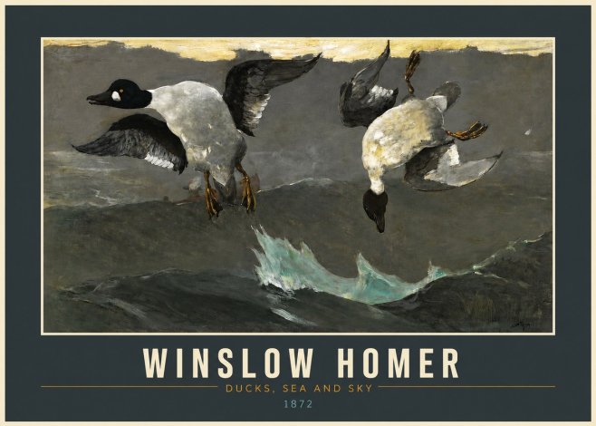Winslow Homer Ducks, Sea and Sky No2 - Plakát