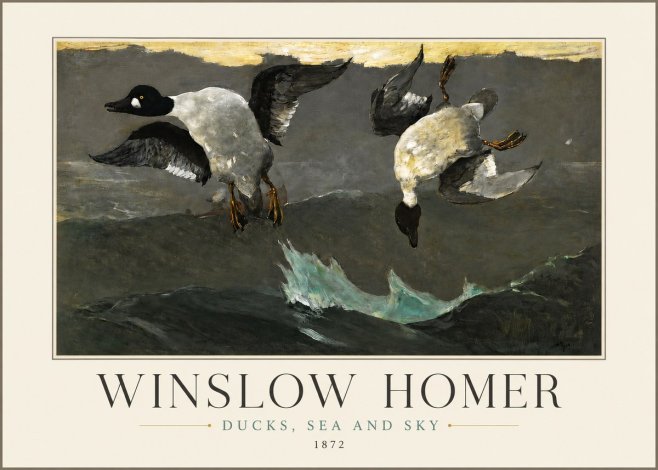 Winslow Homer Ducks, Sea and Sky No3 - Plakát
