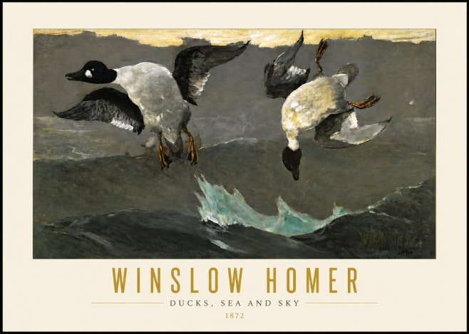 Winslow Homer Ducks, Sea and Sky No4 - Plakát