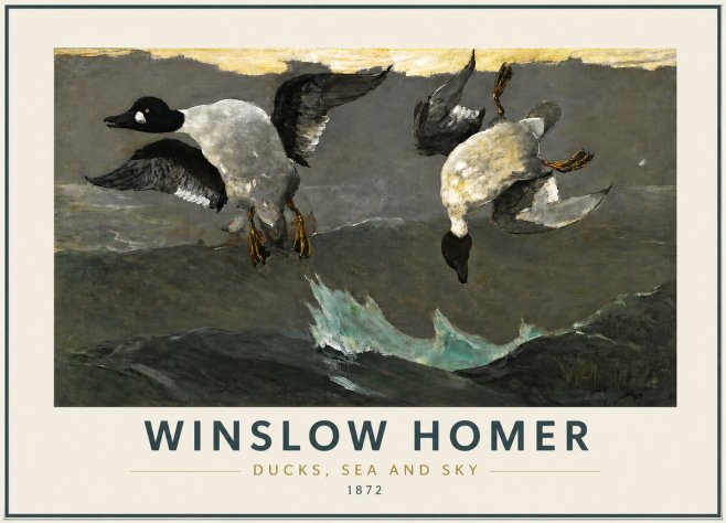Winslow Homer Ducks, Sea and Sky No5 - Plakát