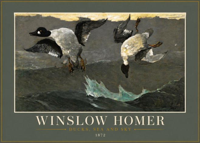 Winslow Homer Ducks, Sea and Sky No6 - Plakát