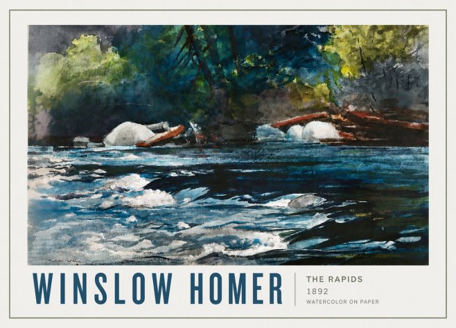 Winslow Homer The Rapids No4 - Plakát
