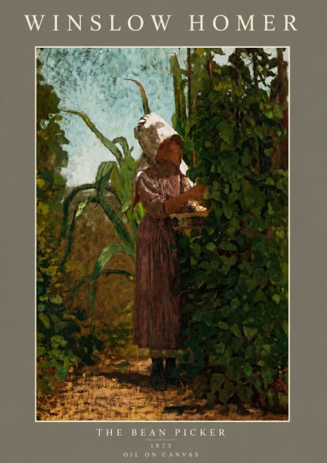 Winslow Homer The Bean Picker No5 - Plakát