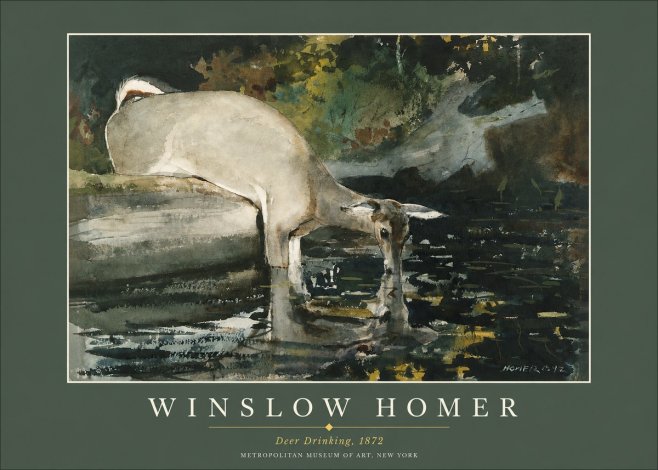 Winslow Homer Deer Drinking No2 - Plakát