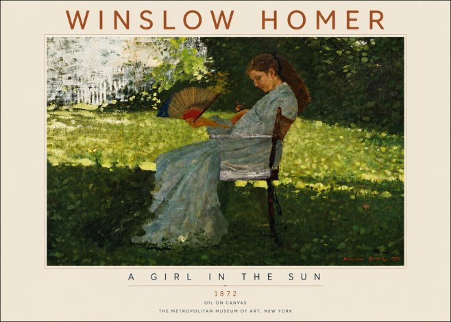 Winslow Homer A Girl in the Sun No4 - Plakát