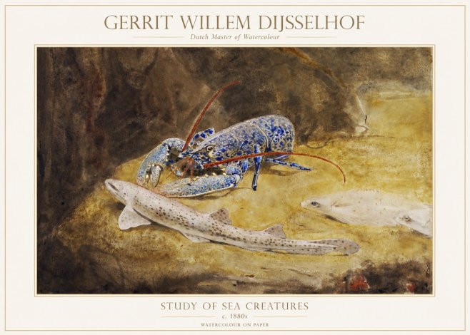 Gerrit Willem Dijsselhof Study of Sea Creatures No1 - Plakát