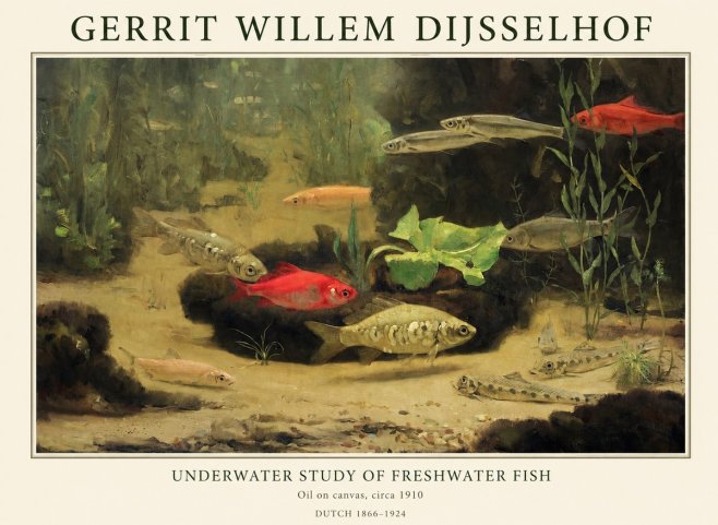Gerrit Willem Dijsselhof Underwater Study of Freshwater Fish No1 - Plakát