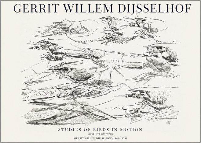 Gerrit Willem Dijsselhof Studies of Birds in Motion No1 - Plakát