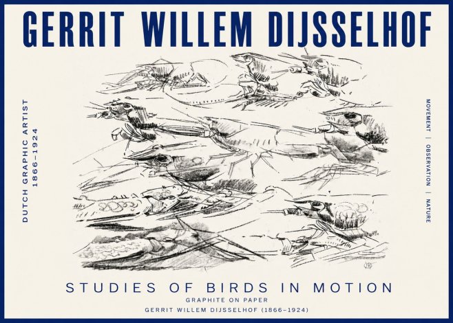 Gerrit Willem Dijsselhof Studies of Birds in Motion No3 - Plakát