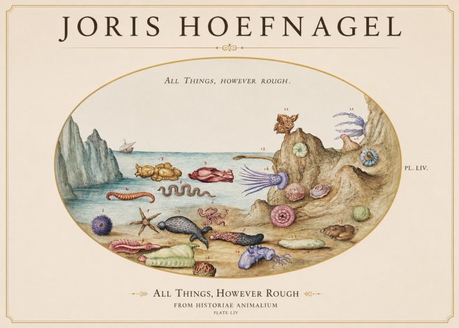 Joris Hoefnagel Totvs Echinvs Asper. Plate Liv No2 - Plakát