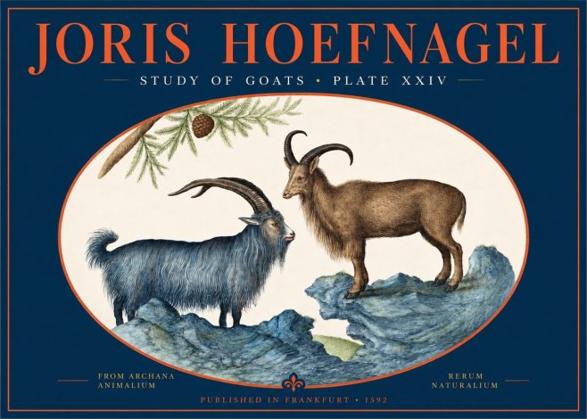 Joris Hoefnagel Two Mountain Goats from the Series Quadrupeds No3 - Plakát