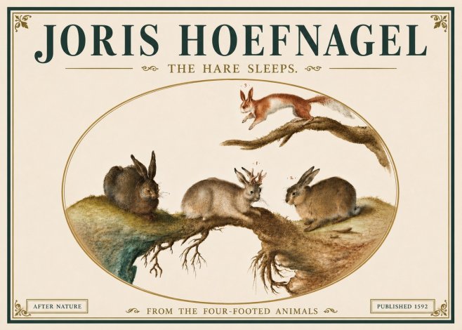 Joris Hoefnagel Lepvs Dormit No6 - Plakát