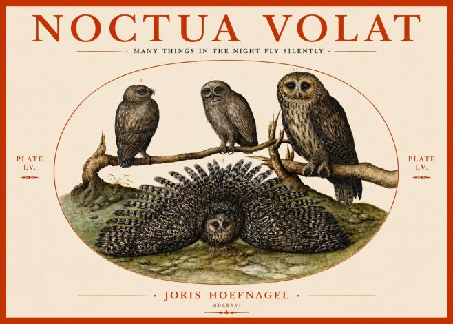Joris Hoefnagel Noctva Volat No4 - Plakát