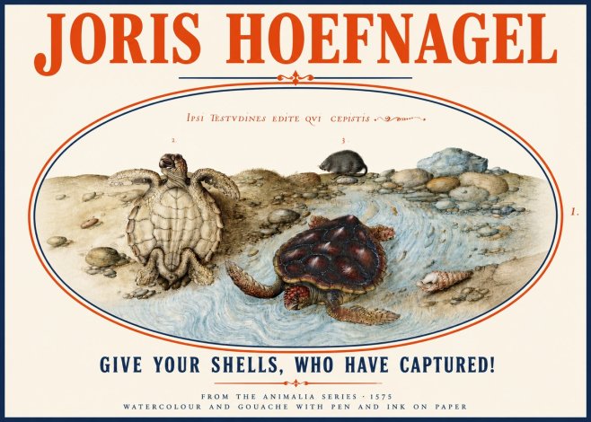 Joris Hoefnagel Two Turtles in a Stream No4 - Plakát