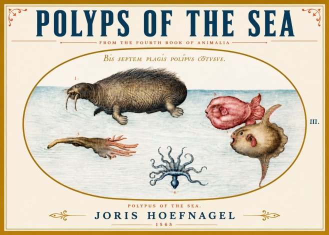Joris Hoefnagel Polyps of the Sea No5 - Plakát