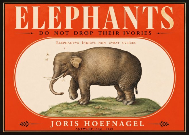 Joris Hoefnagel Elephant Does Not Drop Its Ivories No2 - Plakát