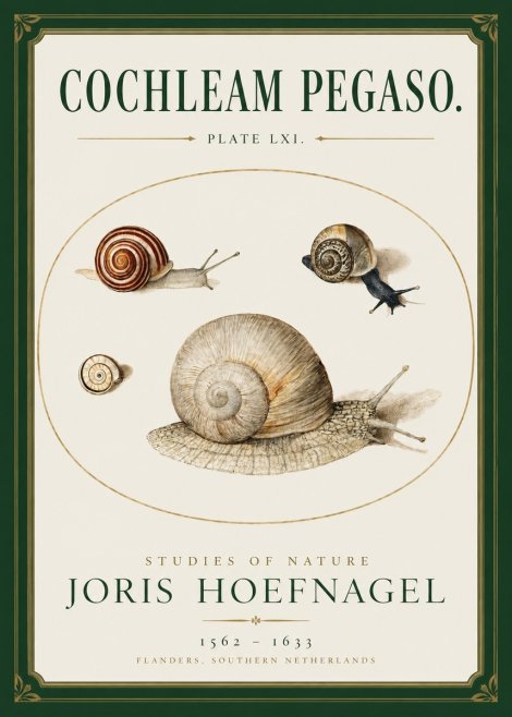 Joris Hoefnagel The Four Snails No3 - Plakát