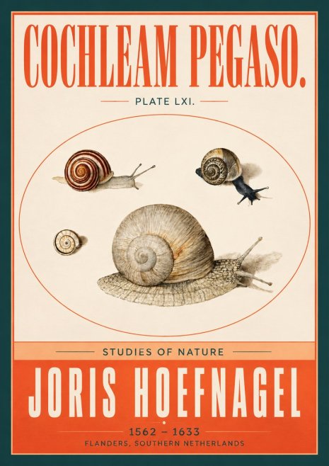 Joris Hoefnagel The Four Snails No4 - Plakát