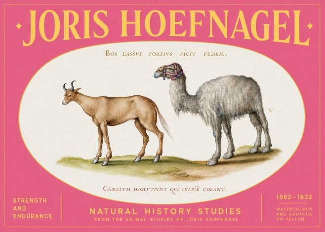 Joris Hoefnagel A Study of Strength and Endurance No2 - Plakát