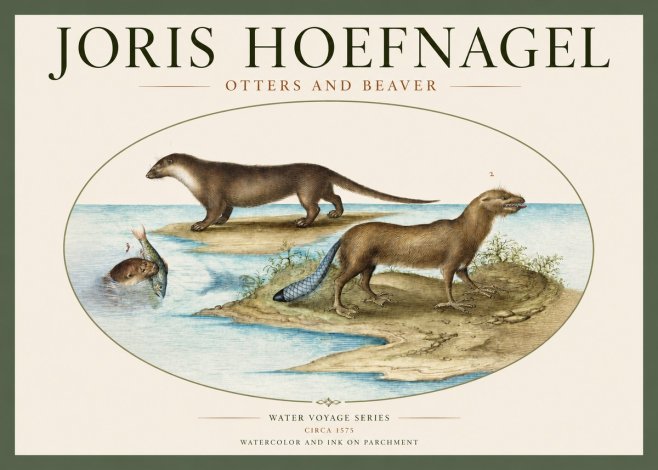 Joris Hoefnagel The Four-footed Creatures No3 - Plakát