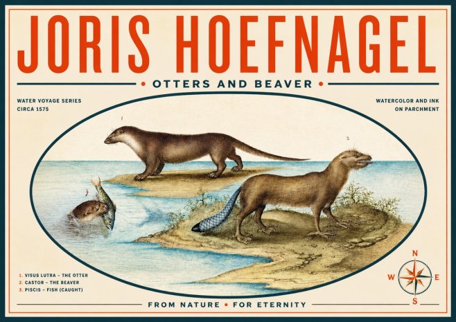 Joris Hoefnagel The Four-footed Creatures No6 - Plakát