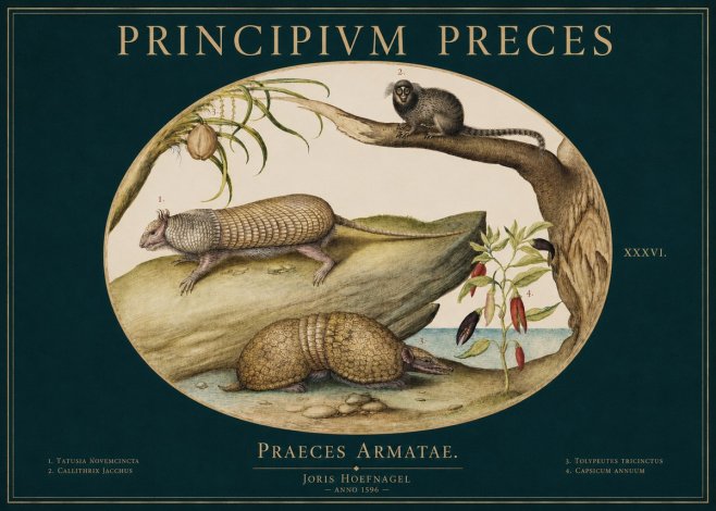 Joris Hoefnagel Praeces Armatae. No3 - Plakát
