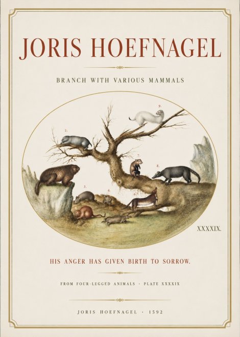 Joris Hoefnagel Branch with Various Mammals No3 - Plakát