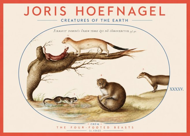 Joris Hoefnagel Creatures of the Earth I No3 - Plakát