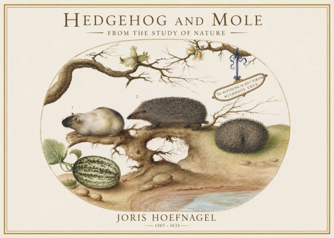 Joris Hoefnagel Hedgehog and Mole No1 - Plakát