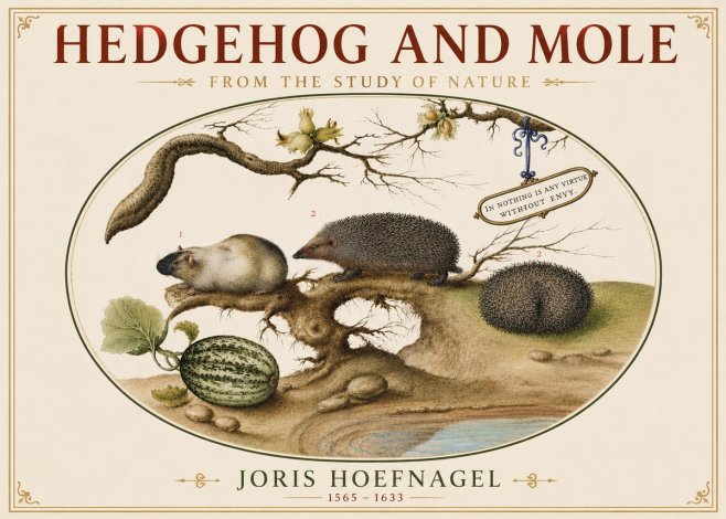 Joris Hoefnagel Hedgehog and Mole No5 - Plakát