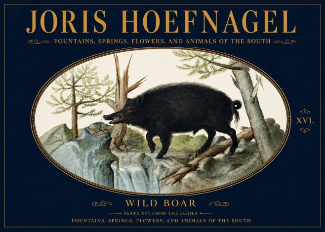 Joris Hoefnagel Fountains, Springs, Flowers, and Animals of the South - Plate Xvi No5 - Plakát