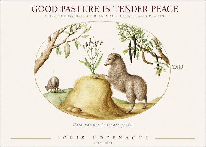 Joris Hoefnagel Good Pasture Is Tender Peace. No1 - Plakát
