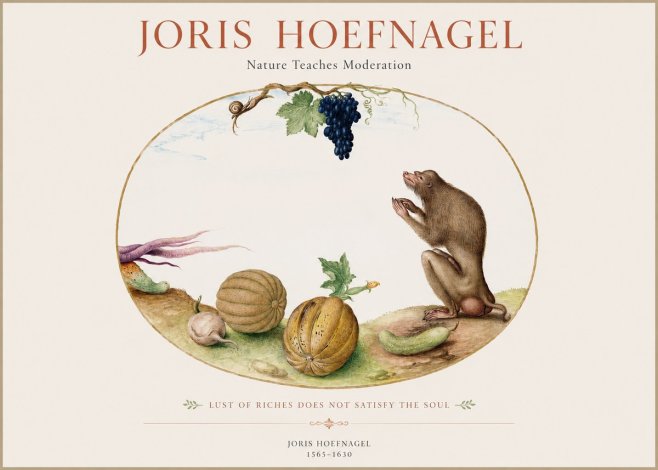 Joris Hoefnagel Nature Teaches Moderation No1 - Plakát