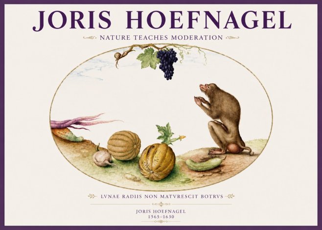 Joris Hoefnagel Nature Teaches Moderation No3 - Plakát