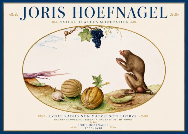 Joris Hoefnagel Nature Teaches Moderation No5 - Plakát