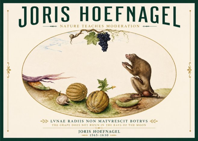 Joris Hoefnagel Nature Teaches Moderation No6 - Plakát