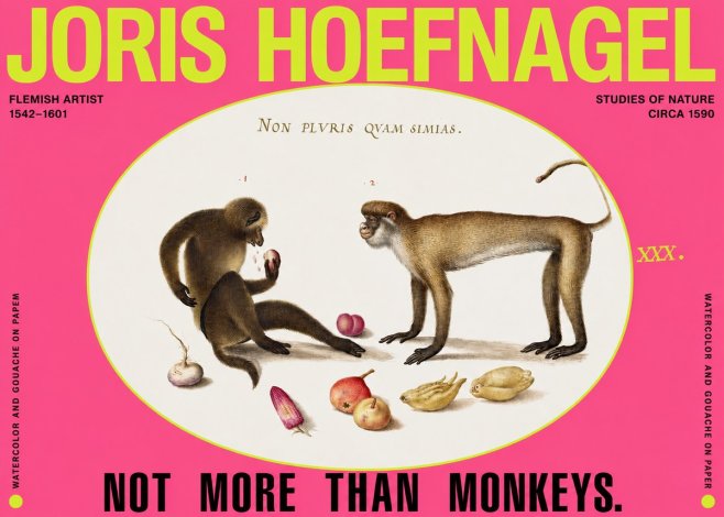 Joris Hoefnagel Not More Than Monkeys No2 - Plakát