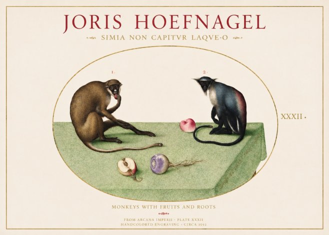 Joris Hoefnagel Monkeys with Fruits and Roots No1 - Plakát
