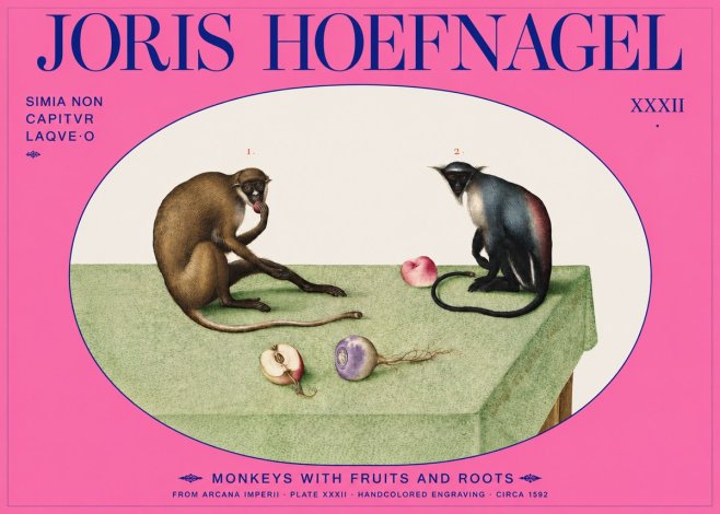 Joris Hoefnagel Monkeys with Fruits and Roots No2 - Plakát