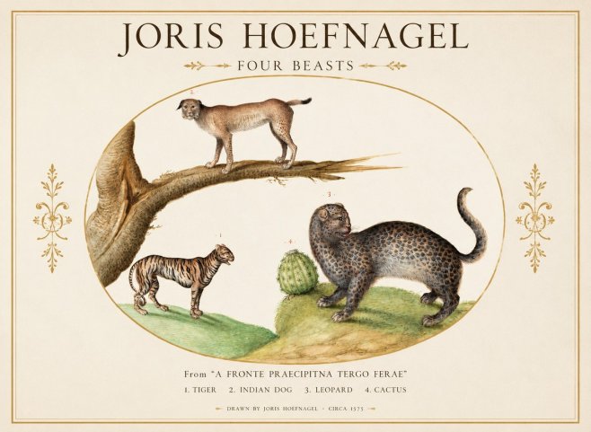 Joris Hoefnagel Four Beasts No1 - Plakát