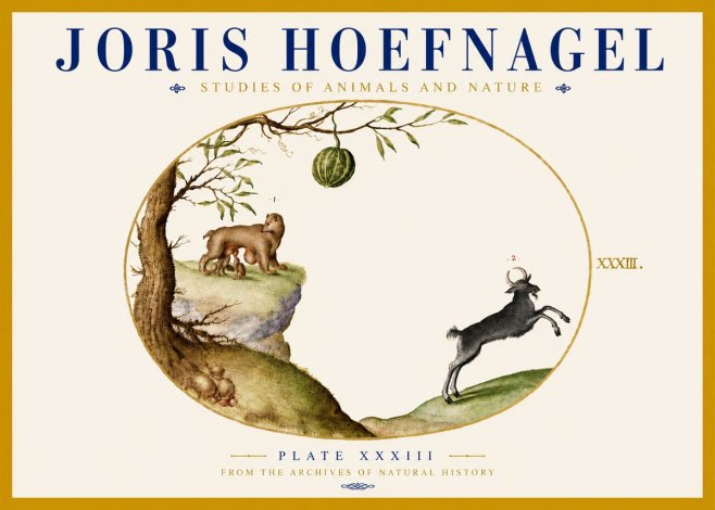 Joris Hoefnagel Plate Xxxiii No5 - Plakát
