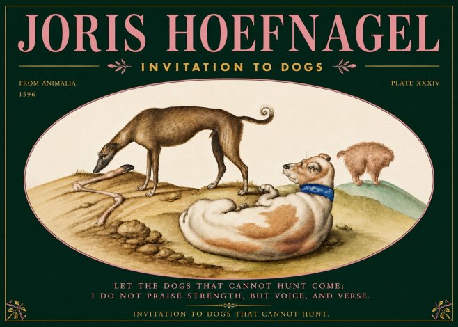 Joris Hoefnagel Invitation to Dogs No5 - Plakát