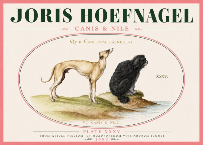 Joris Hoefnagel Neither Can a Dog Live in Baths No6 - Plakát