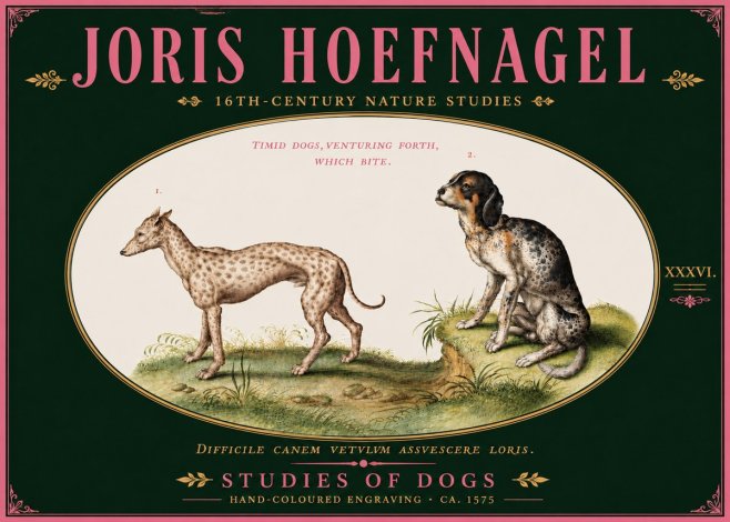 Joris Hoefnagel Studies of Dogs No6 - Plakát