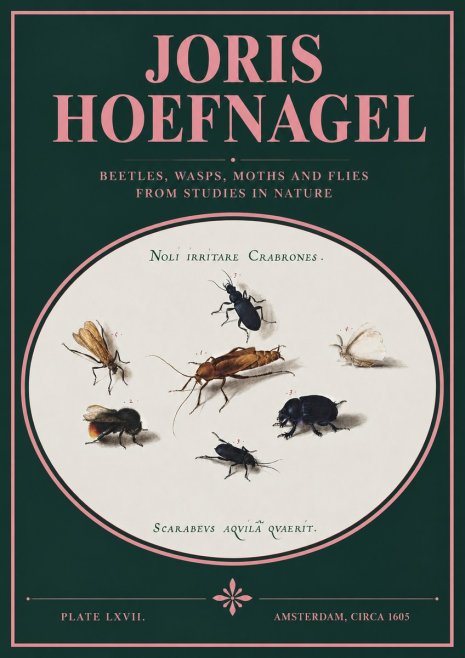 Joris Hoefnagel Scarabeus Aqvilä Qvaerit. No3 - Plakát