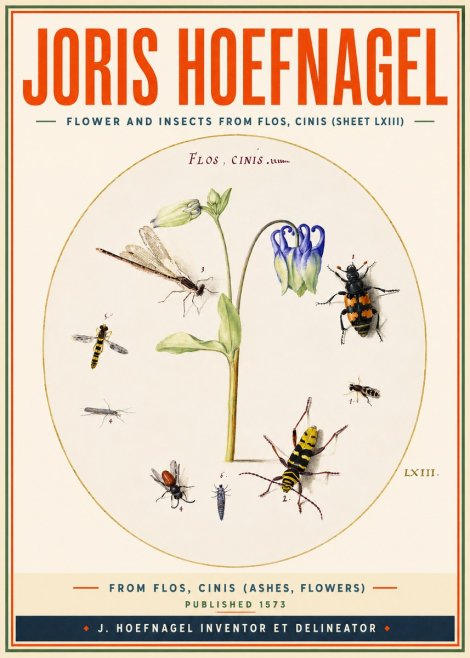 Joris Hoefnagel Insects and a Flower Study No4 - Plakát