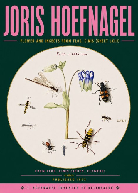 Joris Hoefnagel Insects and a Flower Study No6 - Plakát